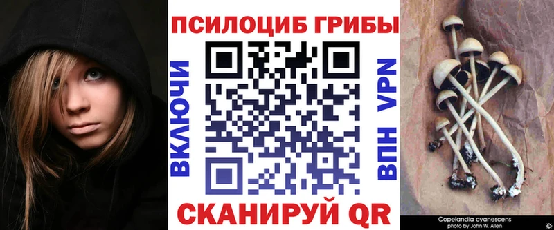 Псилоцибиновые грибы Cubensis  Выкса 