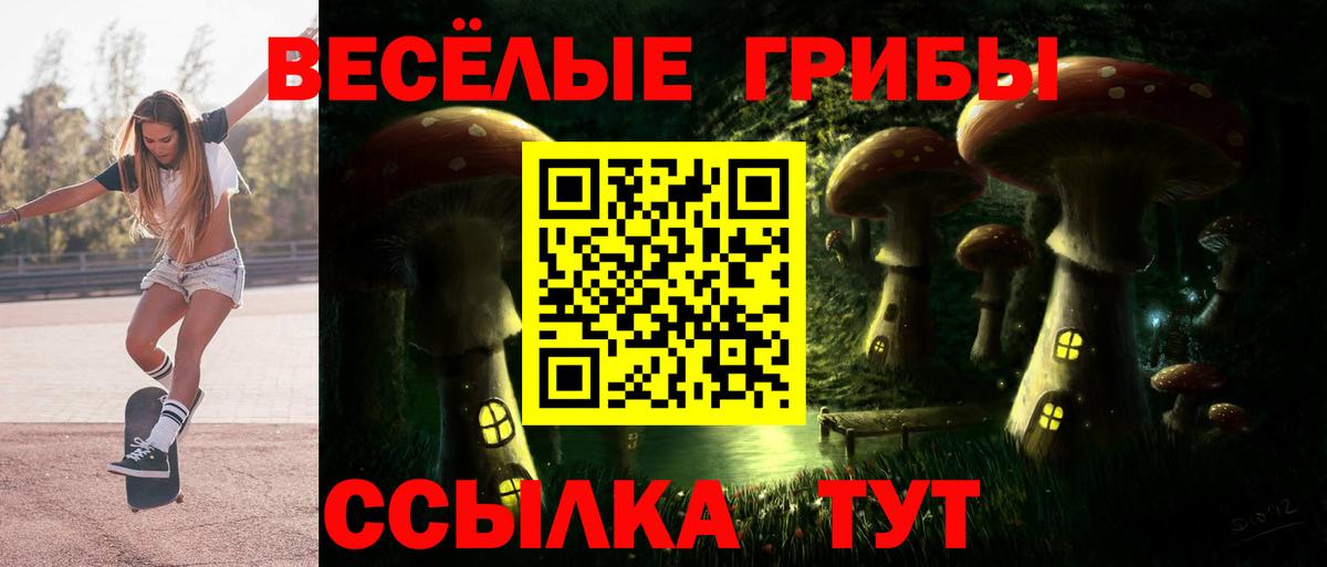 Выкса  Псилоцибиновые грибы Psilocybine cubensis  Псилоцибиновые грибы ЛСД  Вход с VPN 